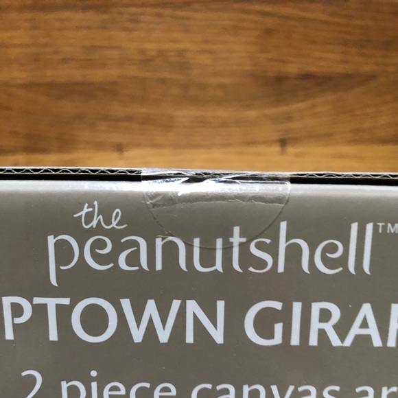 The PeanutShell Two Piece Canvas Art - Picture 4 of 5